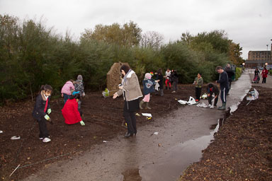 Birkby-Junior-School-Pupils-Plant-Poppy-Seeds--001.jpg