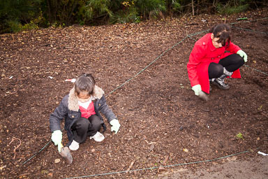 Birkby-Junior-School-Pupils-Plant-Poppy-Seeds--002.jpg